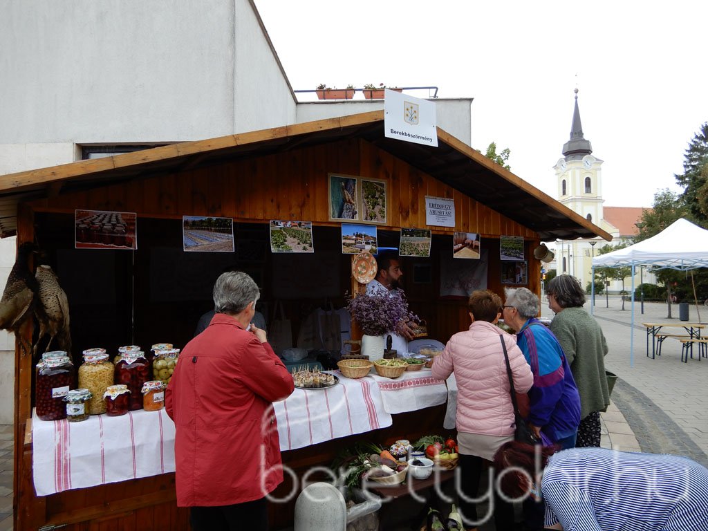 Helyi Értékek Startja 54